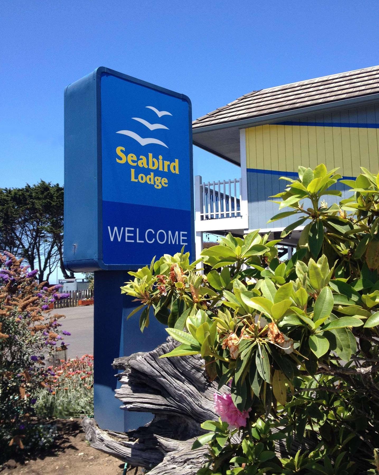 Seabird Lodge Fort Bragg Eksteriør bilde